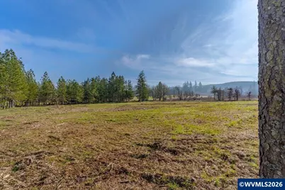 0060356 Tax Lot Old Bellinger Scale Rd, Lebanon, OR 97355 - Photo 7