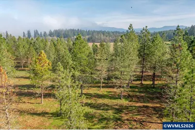 0060356 Tax Lot Old Bellinger Scale Rd, Lebanon, OR 97355 - Photo 13