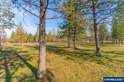 0060356 Tax Lot Old Bellinger Scale Rd, Lebanon, OR 97355 - Photo 5