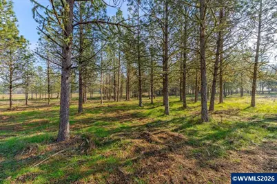 0060356 Tax Lot Old Bellinger Scale Rd, Lebanon, OR 97355 - Photo 3