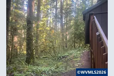 Stahlman 38B Usfs 049 Rd, Detroit, OR 97342 - Photo 47
