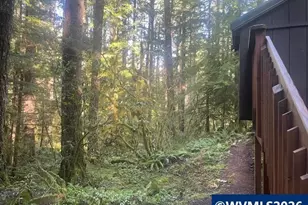 Stahlman 38B Usfs 049 Rd, Detroit, OR 97342 - Photo 47