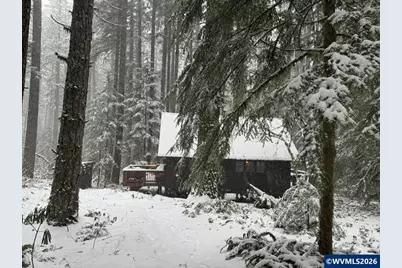 Stahlman 38B Usfs 049 Rd, Detroit, OR 97342 - Photo 1