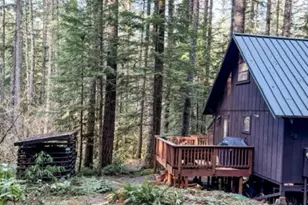 Stahlman 38B Usfs 049 Rd, Detroit, OR 97342 - Photo 49