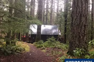 Stahlman 38B Usfs 049 Rd, Detroit, OR 97342 - Photo 43