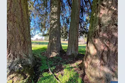 40544 McDowell Creek Dr, Lebanon, OR 97355 - Photo 39