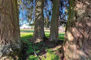 40544 McDowell Creek Dr, Lebanon, OR 97355 - Photo 39