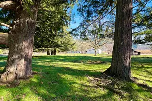 40544 McDowell Creek Dr, Lebanon, OR 97355 - Photo 41