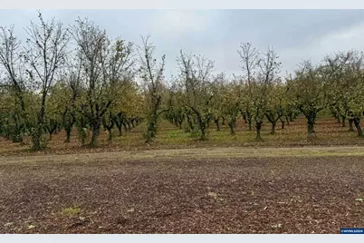 4797 St Paul Hwy, Saint Paul, OR 97137 - Photo 27