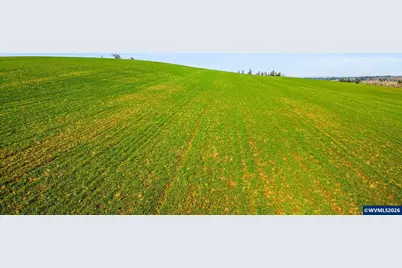 9900 S Wildcat Rd, Molalla, OR 97038 - Photo 7