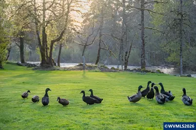 42801 Island Inn Dr, Lebanon, OR 97355 - Photo 33