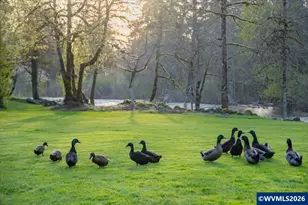 42801 Island Inn Dr, Lebanon, OR 97355 - Photo 33