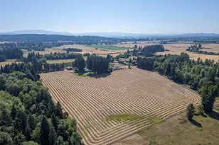 36765 Glaser Dr, Scio, OR 97374 - Photo 49