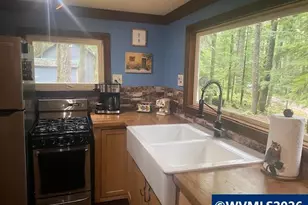 65 B Stahlman Forest Service 049 Rd, Detroit, OR 97346 - Photo 17