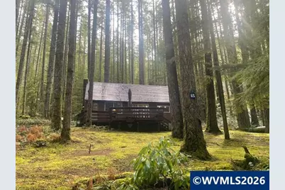 65 B Stahlman Forest Service 049 Rd, Detroit, OR 97346 - Photo 3