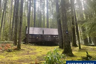 65 B Stahlman Forest Service 049 Rd, Detroit, OR 97346 - Photo 3