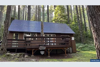 65 B Stahlman Forest Service 049 Rd, Detroit, OR 97346 - Photo 1