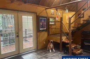 65 B Stahlman Forest Service 049 Rd, Detroit, OR 97346 - Photo 9