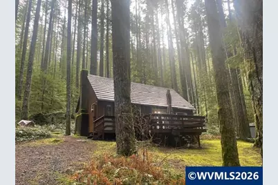 65 B Stahlman Forest Service 049 Rd, Detroit, OR 97346 - Photo 11