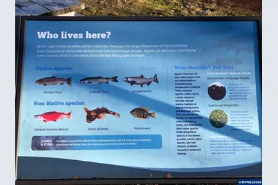 65 B Stahlman Forest Service 049 Rd, Detroit, OR 97346 - Photo 37