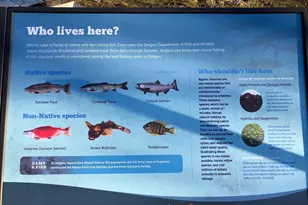 65 B Stahlman Forest Service 049 Rd, Detroit, OR 97346 - Photo 37