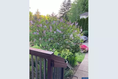 1354 Lea Ann Ct NW, Salem, OR 97304 - Photo 45