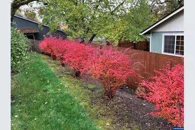 1354 Lea Ann Ct NW, Salem, OR 97304 - Photo 41