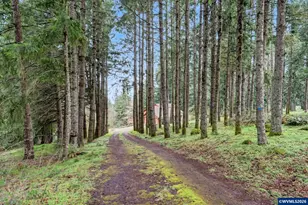 6683 Indian Springs Rd NE, Scotts Mills, OR 97375 - Photo 37