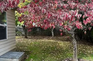 1401 W Ellendale #66 Av, Dallas, OR 97338 - Photo 3