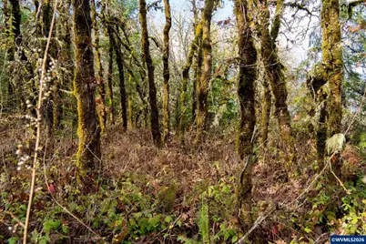 0 Mistletoe Rd, Dallas, OR 97338 - Photo 3