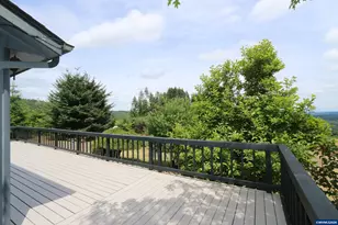 3345 Sample Rd, Falls City, OR 97344 - Photo 25