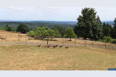 3345 Sample Rd, Falls City, OR 97344 - Photo 31