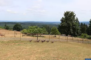 3345 Sample Rd, Falls City, OR 97344 - Photo 31