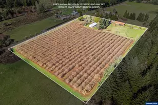 34931 Meridian Rd, Lebanon, OR 97355 - Photo 45