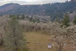 25045 Gap Rd, Brownsville, OR 97327 - Photo 43