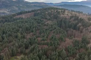 25045 Gap Rd, Brownsville, OR 97327 - Photo 49