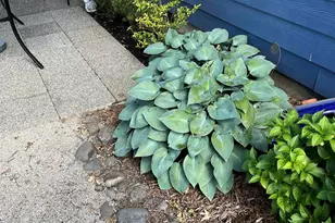 1575 Leo St NE, Keizer, OR 97303 - Photo 49