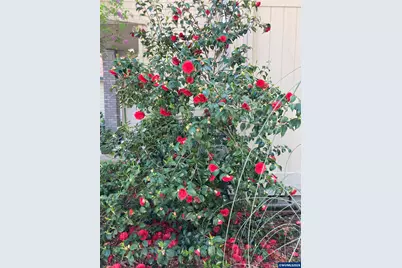 4366 Berry Ln, Eugene, OR 97404 - Photo 39