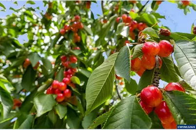 2395 88th Av NE, Salem, OR 97305 - Photo 47