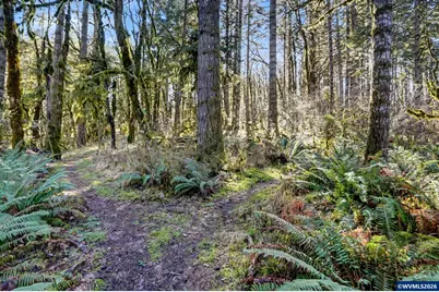 24194 Columbine Dr, Philomath, OR 97370 - Photo 21