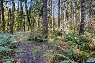 24194 Columbine Dr, Philomath, OR 97370 - Photo 21