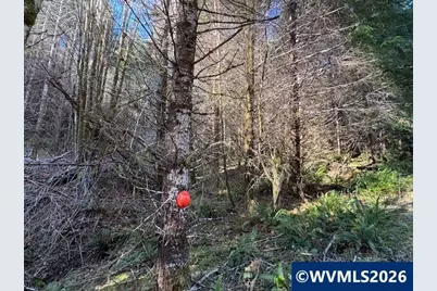 000 Alsea Hwy, Alsea, OR 97324 - Photo 21