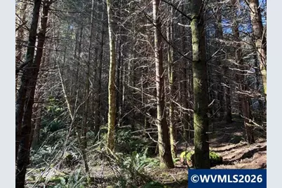 000 Alsea Hwy, Alsea, OR 97324 - Photo 29