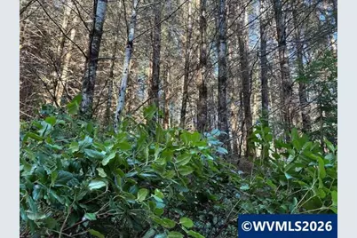 000 Alsea Hwy, Alsea, OR 97324 - Photo 31