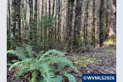 00 SE Wildcat Mountain Dr, Sandy, OR 97055 - Photo 15