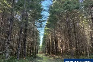 00 SE Wildcat Mountain Dr, Sandy, OR 97055 - Photo 1