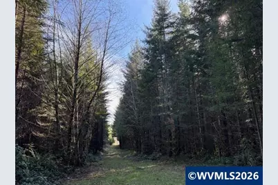 00 SE Wildcat Mountain Dr, Sandy, OR 97055 - Photo 23