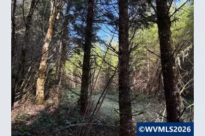 00 SE Wildcat Mountain Dr, Sandy, OR 97055 - Photo 11