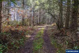 30920 Berlin Rd, Lebanon, OR 97355 - Photo 35