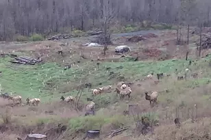 10855 Kubin Rd SE, Lyons, OR 97358 - Photo 19